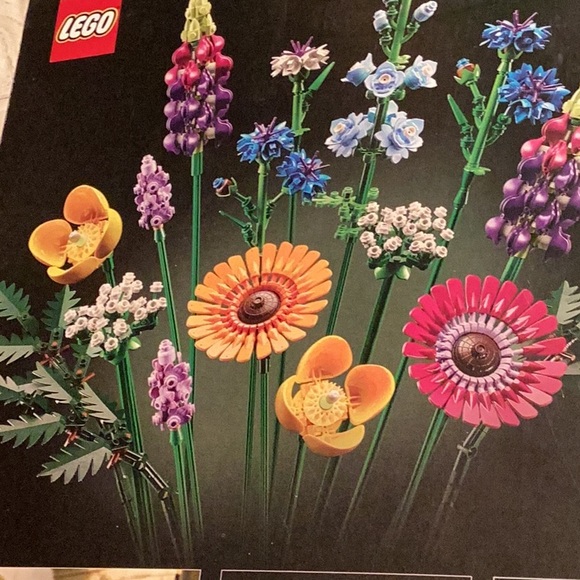 🌺  Lego WILDFLOWER 💐 BOUQUET BOTANICAL COLLECTION BOX DENTED 🌼 DAISY 🌺 - Picture 2 of 16